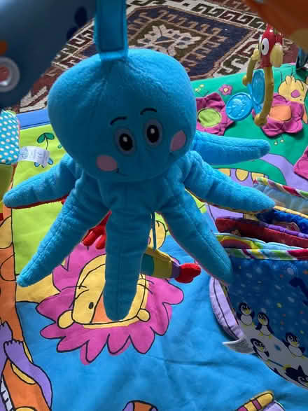 Photo of free Baby play mat (Stroud GL5) #4