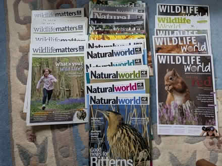 Photo of free A selection of Wildlife Magazines (Bengeo SG14) #1