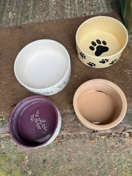 Photo of free Dog bowls (BR1) #1
