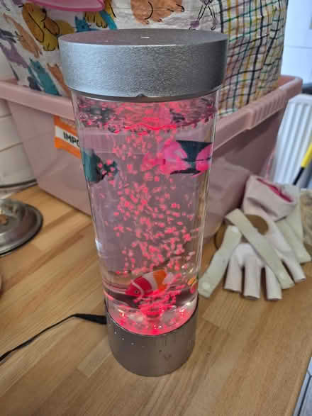 Photo of free Sensory lamp (L8) #2