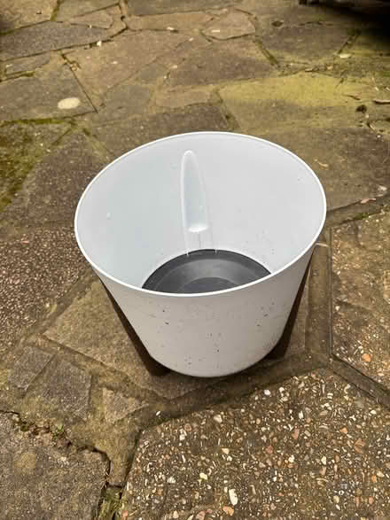 Photo of free Plant pot (Hitchin SG4) #1