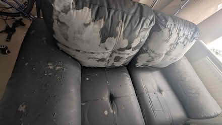 Photo of free Leather sofa 2 seater (Ludford court CW1) #4