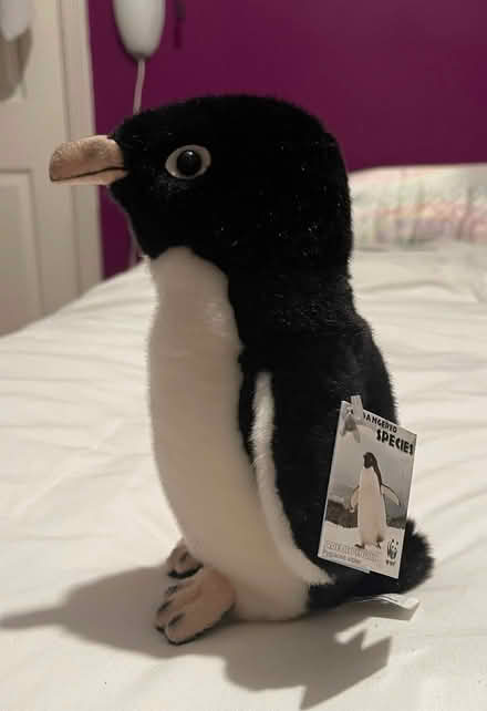 Photo of free Adelie Penguin plush toy 8” tall (WWF) (Chorley PR6) #2