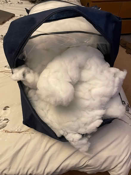 Photo of free Large bag of stuffing (Southbourne, PO10) #1