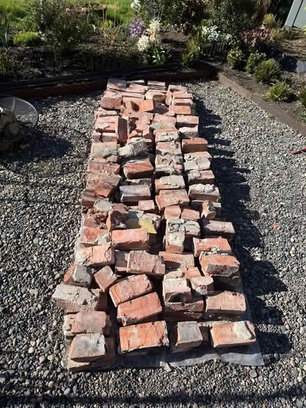 Photo of free red bricks (Central Tacoma) #2