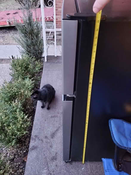 Photo of free Hisense mini fridge (8 Mile & Dequindre) #4