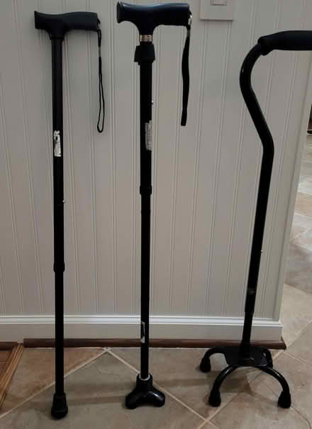 Photo of free Canes (Severn) #1