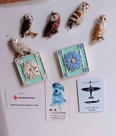 Photo of free fridge magnets (Allington NG32) #1