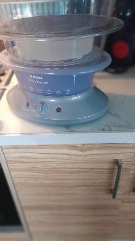 Photo of free Electric steamer (Snaresbrook Stn.) #1