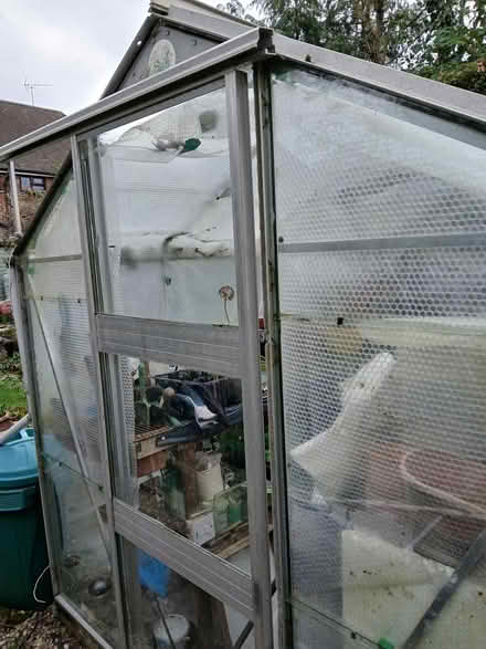 Photo of free Greenhouse 8' X 6' (Great Baddow) #3
