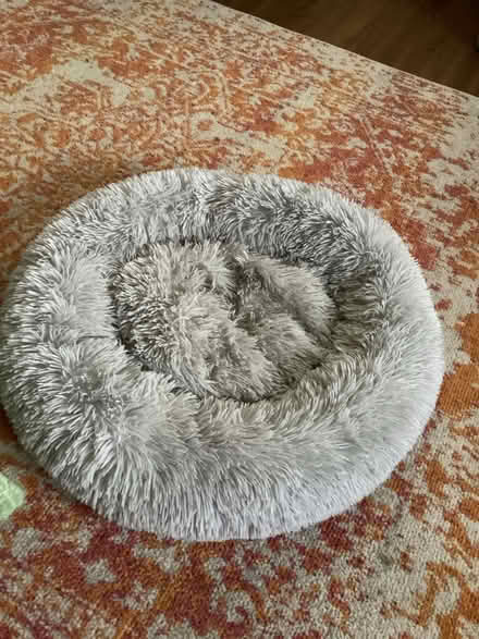 Photo of free Cat/dog rug bed (Bedfont TW14) #1