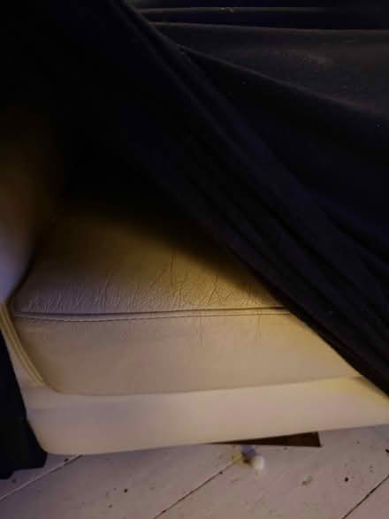 Photo of free Cream leather armchair& black cover (St Leonard’s TN38) #3