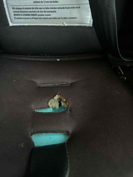 Photo of free Dionisio Radian Carseat (Upper Roxborough) #2