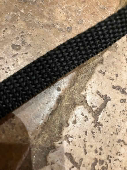 Photo of free 10mm black nylon webbing (Pendeen TR19) #1