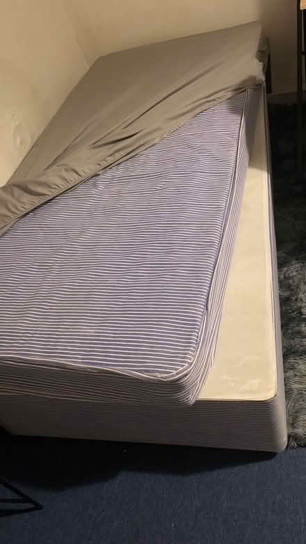 Photo of free Single bed (Alchester B13) #1