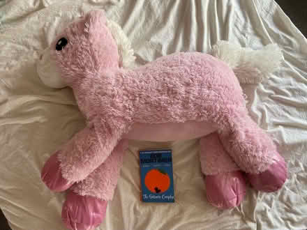 Photo of free Very large pink unicorn (Castlefields) #1