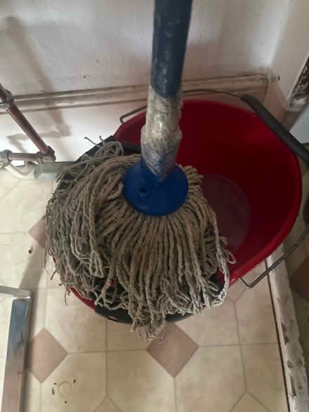 Photo of free Moo bucket and mop (KT1 Kingston-upon-Thames) #1
