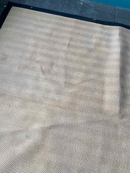 Photo of free 290x200 Dunelm sisal rug (Linden GL1) #3