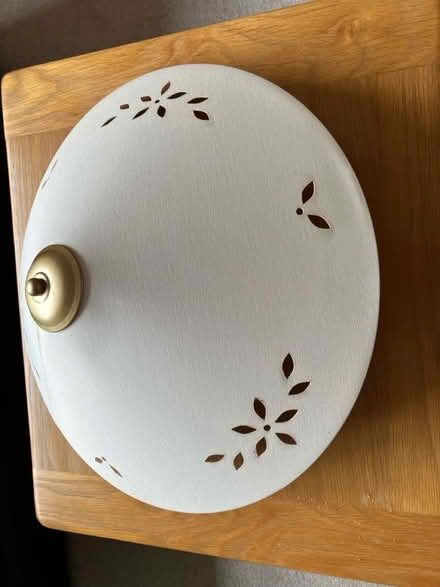 Photo of free Lampshade (DA1) #2