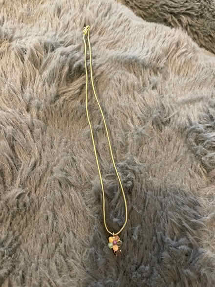 Photo of free Necklace (Wandsworth SW18) #1