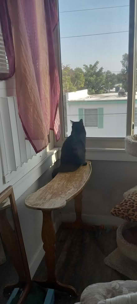 Photo of free White windowsill table (St Pete - Central Oak Park) #2