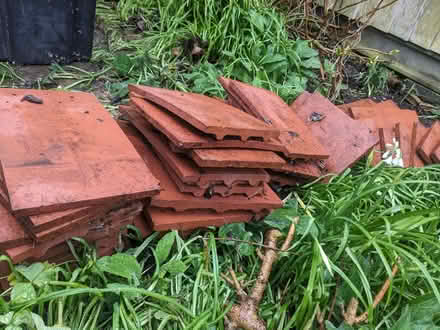 Photo of free Roof tiles (Surrenden BN1) #1