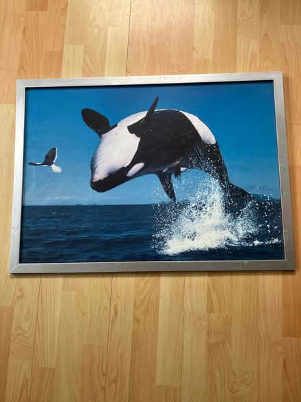 Photo of free 3 x Ikea poster frames (Verwood BH31) #1