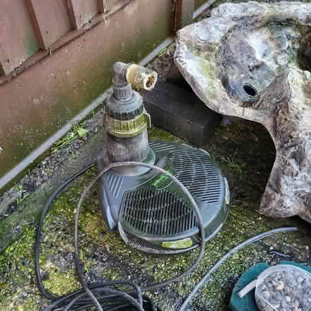 Photo of free Pond pump + Lily + Waterfall (Fordham Heath CO3) #3