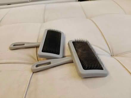 Photo of free Cat brushes (Winchmore Hill N21) #2
