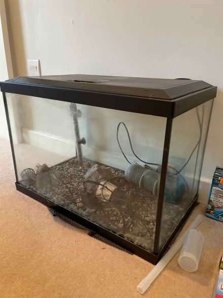 Photo of free Aquarium (Highgate N6) #1