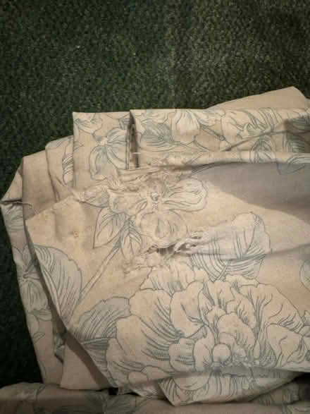 Photo of free Thick lined curtains (Gorebridge EH23) #3