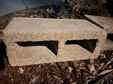 Photo of free Moving: All (Central Park) #1