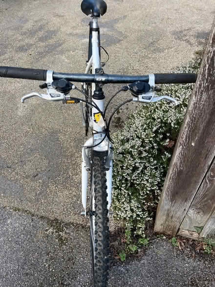 Photo of free Gents steel frame bike (Waterlooville PO7) #2