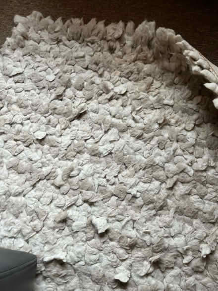 Photo of free Next 100% wool cream rug (IP2) #1