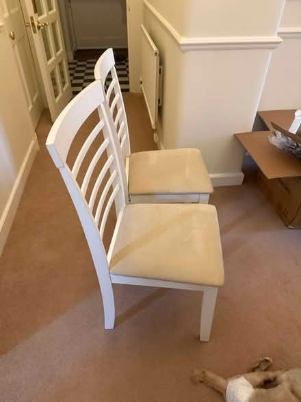 Photo of free Amazon Chairs (W84pu) #2