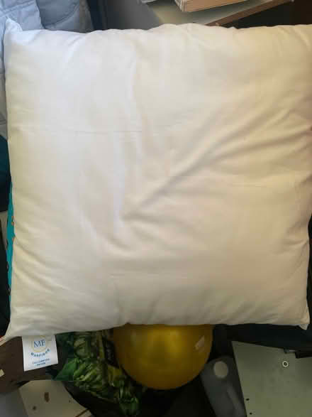 Photo of free 20” cushion insert (Fareham central PO16) #1