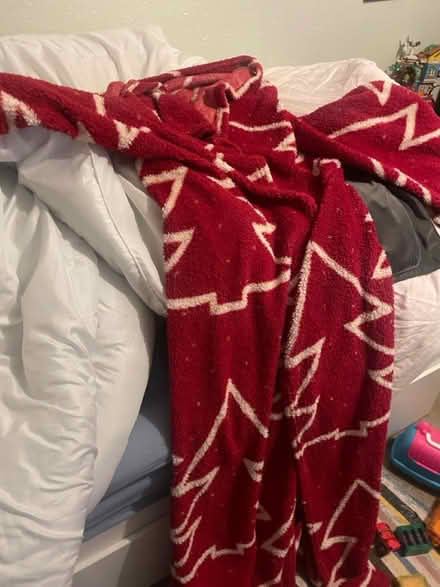 Photo of free Silentnight Snuggle sleeve blanket (Fareham central PO16) #2