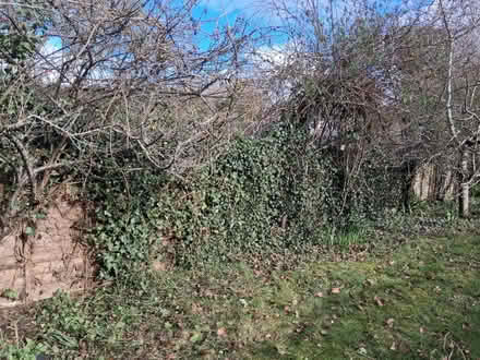 Photo of Garden Items (Oxford OX3 Ox3) #1