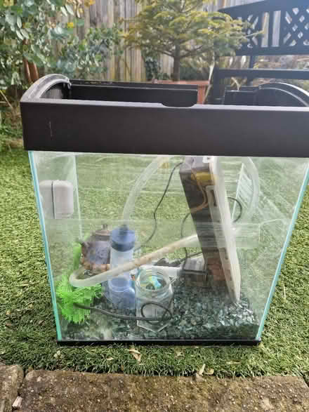 Photo of free Fish tank and bits (BN2) #1