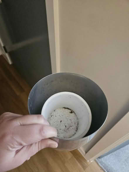 Photo of free Plant pots (Slough central SL1) #1