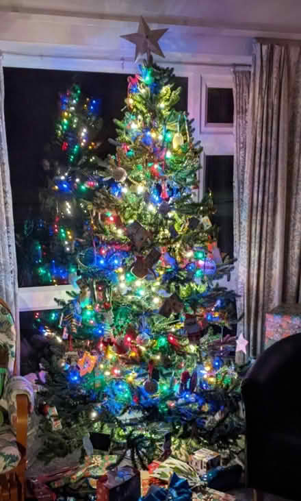 Photo of free 7-foot Artificial Christmas Tree (Hatfield AL9) #1