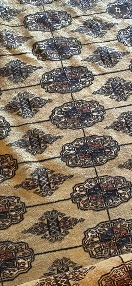 Photo of free Large Bokhara-style Rug (Downtown) #3