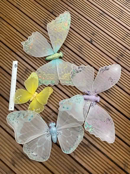 Photo of free Butterflies (DE15 Burton) #1
