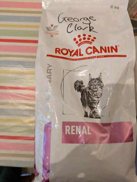 Photo of free Renal cat food (Camden NW1) #1