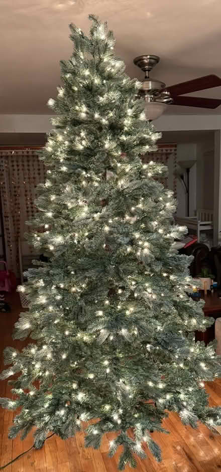 Photo of free Christmas Tree (College Point, Queens) #1