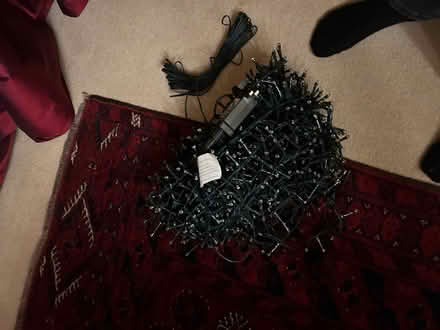Photo of free Fairy lights (65 meters) (Acton W5) #2