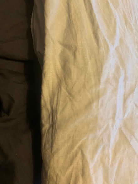 Photo of free Two Next fitted double bed sheets (Lightpill GL5) #2
