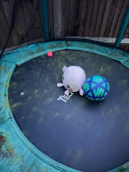 Photo of free Trampoline (Wokingham RG41) #2