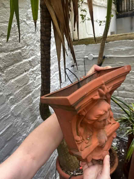 Photo of free wall hanging plant pot (Holland Park W11) #4