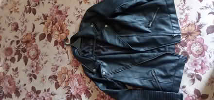 Photo of free Woman Clothing (Hastings) #1